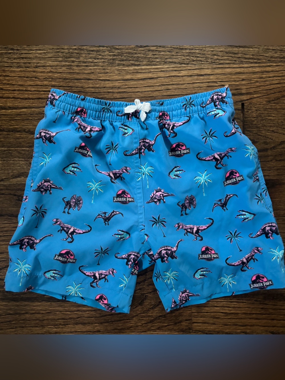 chubbies Jurassic Park Blue Kids Swim Trunks with Dino Print sz 6